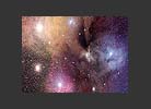 Rho Ophiuchi